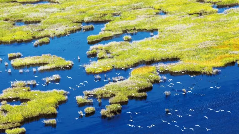 鸟瞰黄河口湿地