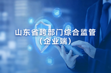 山东省跨部门综合监管（企业端）