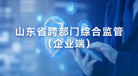 山东省跨部门综合监管（企业端）