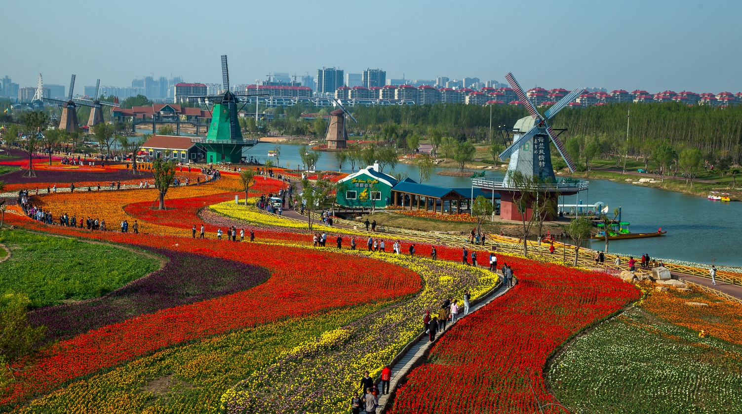 《秦皇河盛景》