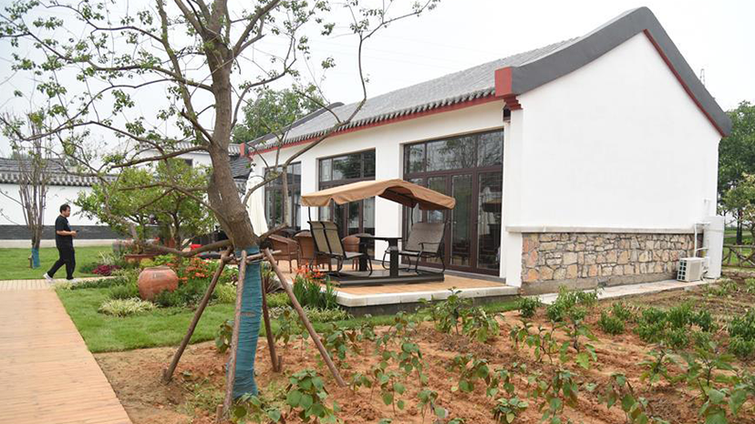 山东汶上：绿色乡村 美丽宜居