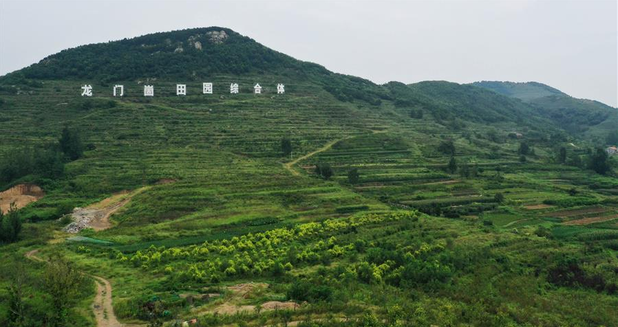 山东日照：龙门崮田园综合体打造乡村振兴的“齐鲁样板”
